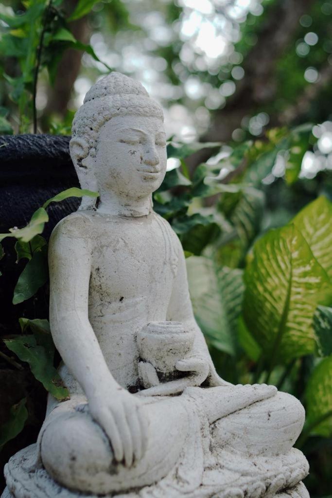 Sattva Yoga Retreat Villas Canggu Eksteriør billede